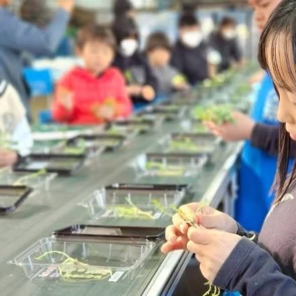 戻りつつある日常